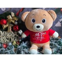 GẤU BÔNG GIÁNG SINH SZ 50cm