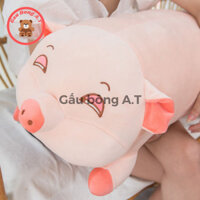 Gấu Bông Heo Lim Dim, Heo Ngủ Siêu Đáng Yêu Cute, Thú Nhồi Bông, Chất Liệu Bông Gòn Cao Cấp (size 40cm-1m2)_AT008