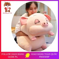 Gấu bông heo mắt híp cao cấp 💥 FREESHIP 💥 Gấu Bông Sóc Nhí