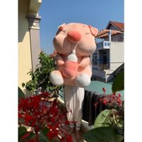 Gấu bông heo ôm bình sữa,thú nhồi bông con heo ngồi ôm bình sữa