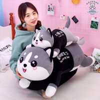 Gấu bông Hình Mèo Husky, gấu SEPHERA bông cao cấp, vỏ nhung Hàn Quốc mềm mịn, co dãn 4 chiều, size 50cm - 1m5