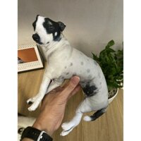 Gấu bông in hình theo yêu cầu size lớn ( tặng lèm bản mini làm móc khoá)