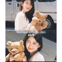 Gấu bông Jelly.cat