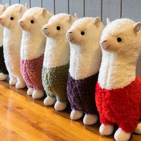 Gấu bông lạc đà Alaphaca 80cm dễ thương