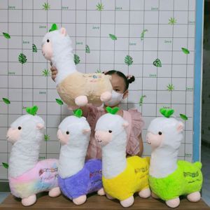 Gấu bông lạc đà Alpaca cao cấp Memon