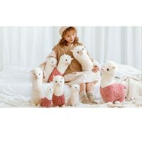 Gấu bông - Lạc đà Alpaca đáng yêu