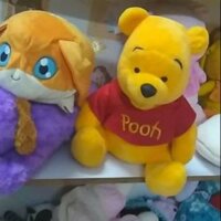Gấu bông lệ quyên
