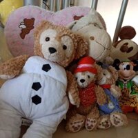 Gấu bông lufy mickey