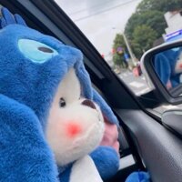 Gấu bông mềm mại, thú nhồi bông đáng yêu đội mũ, gấu bông xanh xinh