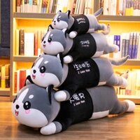 Gấu bông mèo áo khổng lồ , thú nhồi bông con mèo husky siêu dễ thương gối ôm hình thú giá rẻ