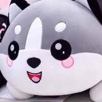 Gấu bông mèo bi full size, gối ôm cute, linhvigaubong