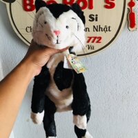 Gâu bông mèo đen