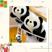 Gấu Bông MGO Gấu Bông Gấu Trúc Panda Nhồi Bông Nằm Quà Tặng Cực Đáng Yêu Dễ Thương