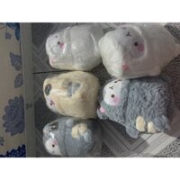 gấu bông molang