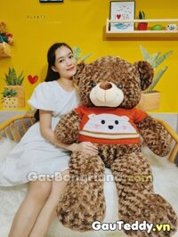 Gấu Bông Nâu Áo Cam