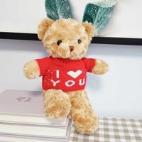 Gấu bông nâu - áo đỏ có chữ I love you kt 30cm.