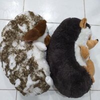 Gấu bông nhím pé