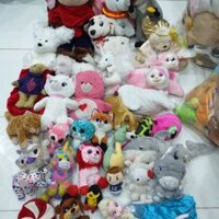 Gấu bông nhím pé