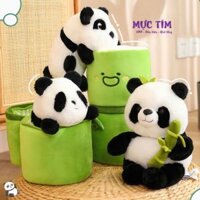 Gấu Bông Panda Gấu Trúc Trong Ống Tre