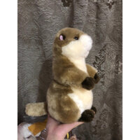 gấu bông Rái cá nâu 35cm