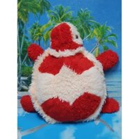 Gấu bông rùa mắt thuỷ tinh