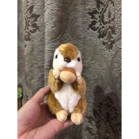 gấu bông sóc cầm hạt