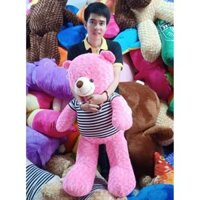 Gấu bông teddy 1m2 khổ vải