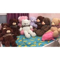gấu bống teddy-1m2