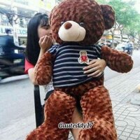 Gấu bông teddy 1m2