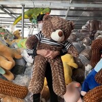 Gấu Bông Teddy 1M3 Mềm Mịn Quà Tặng Xịn Dứa Store