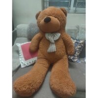 Gấu bông teddy 1m3