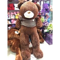 Gấu bông teddy 1m6