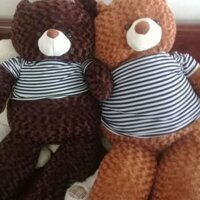 gấu bông teddy 1m6