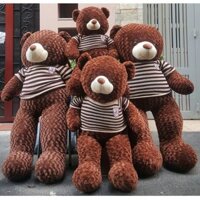 GẤU BÔNG TEDDY 1M6