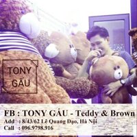 GẤU BÔNG TEDDY 1m6