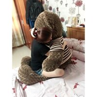 Gấu bông teddy 1m7