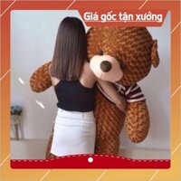 Gấu Bông Teddy 1m8 to ❤️𝑯𝒂̀𝒏𝒈 𝑪𝒂𝒐 𝑪𝒂̂́𝒑❤️ Gấu Bông Hình Thú Siêu To Khổng Lồ Vừa Ôm Vừa Nằm