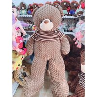 Gấu bông Teddy 1m8