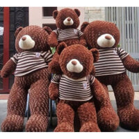 gấu bông teddy 3 màu nâu kem trắng kích thước 1m2