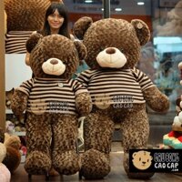 Gấu Bông Teddy 85cm-1m2-1m6 Gấu Bông To, Gối Ôm Hình Thú Teddy Nâu Bự Khổng Lồ Siêu Đáng Yêu--XưởngGấuGiaBảo