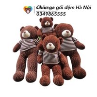 Gấu bông Teddy 95 -110cm , Gối ôm Hình thú siêu to khổng lồ