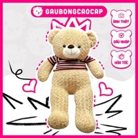 Gấu Bông Teddy áo len cafe sữa lông xoắn, Gấu Teddy lông xoắn mềm cao cấp