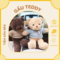 Gấu Bông Teddy áo len kích thước 30cm- gấu bông trang trí