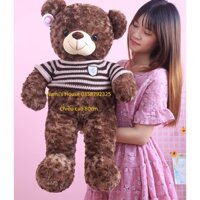 Gấu Bông Teddy các màu 80cm