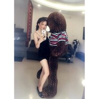 Gấu bông teddy cao 2m siêu dễ thương ,hàng khủng giá rẻ cho mọi người