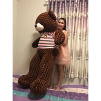 Gấu bông Teddy Cao Cấp khổ vải 2m Cao 1,8m màu nâu hàng VNXK- Best Bear