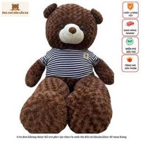 Gấu bông Teddy Cao Cấp khổ vải 1m5 Cao 1,4 Nhiều Màu