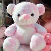 Gấu bông teddy cầu vồng đáng yêu - thú nhồi bông sezi 30-50cm- SHOP 29HN