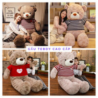 Gấu bông Teddy chính lãng hàng nhập khẩu. size 1m,1m2,1m4,1m6,1m8,2m thú nhồi bông teddy lông hoa hồng siêu to khổng lồ