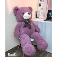 gấu bông Teddy First Love size 1m7 có síp ngoà.i